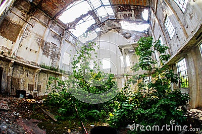 Abandoned Old Ruined Industrial Plant