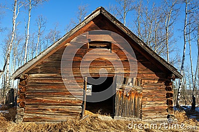 Abandoned old wooden barn in late winter