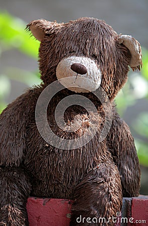 Abandoned teddy bear toy sitting