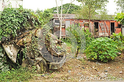 Abandoned truck wreck and train wagon at Quirigua