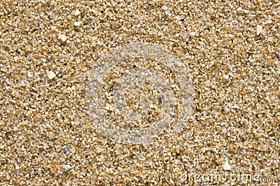 Abstract texture sand background