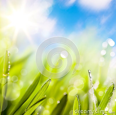 Abstracts of natural spring green background