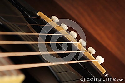 Acoustic Guitar Bridge