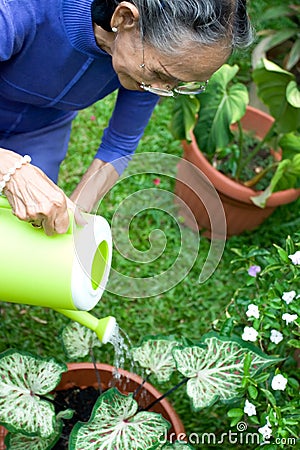 Active senior woman gardening