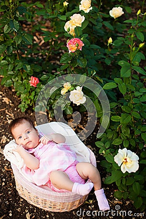 Adorable neewborn girl at roses garden