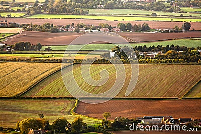 Aerial farmland fields