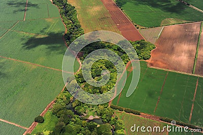 Aerial view of farm fields in Costa Rica