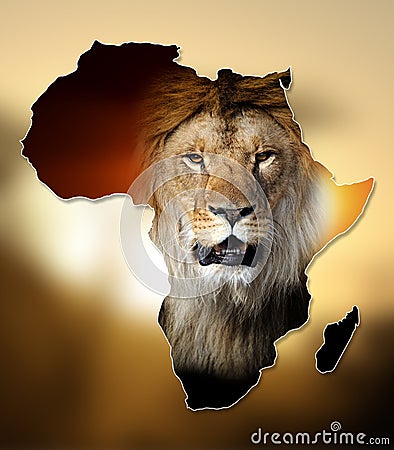 Africa Wildlife Map Design