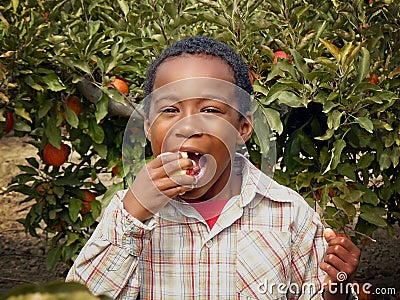 African American Boy Eating an Apple in an Orchard