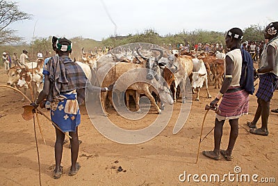 African men and cattle
