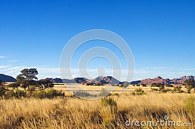 African savanna landscape