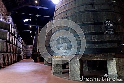 Aging Port wine in cellar