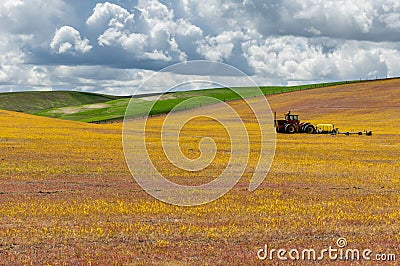 Agricultural fields with tractor