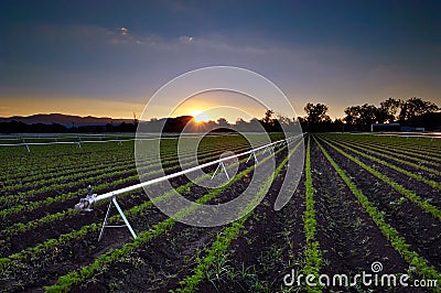 Agricultural Irrigation Sprinkler Royalty Free Sto