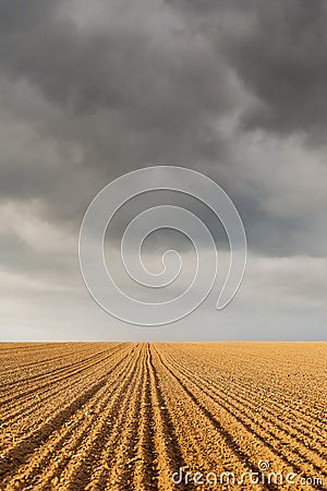 Agricultural landscape, dark clouds.