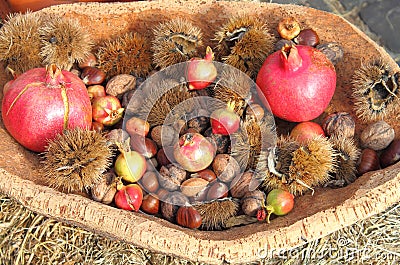 Agricultural products of autumn