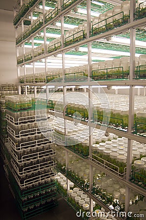 Agricultural research labs