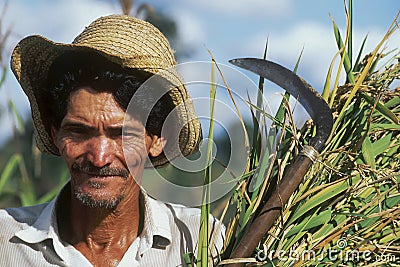 Agricultural worker, Brazil.