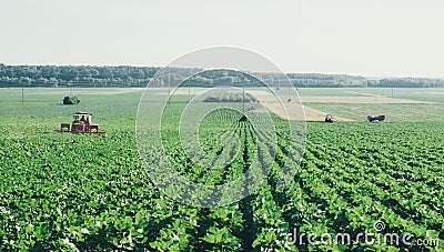 Agriculture field with distant tractors in retro film camera effect.