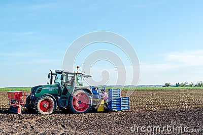 Agriculture - tractor sowing salad