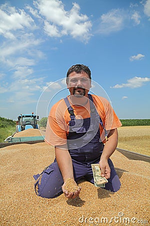 Agriculture, wheat harvest, farmer and money