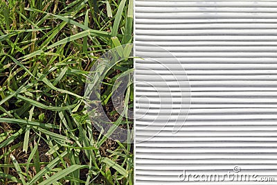 Air filter and grass