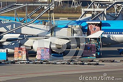 Aircraft unloading cargo