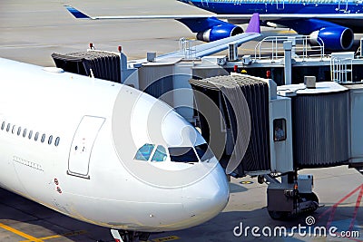 Airplane parked at the airport