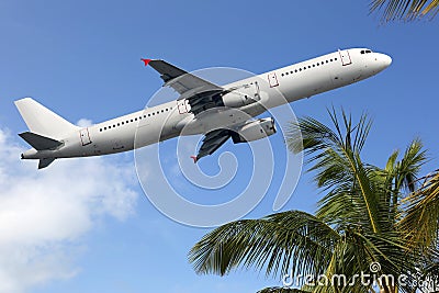 Airplane taking off between palm trees