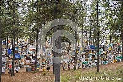 Alaska Highway Sign Forest