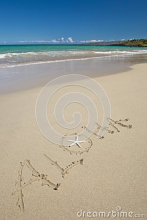 Aloha and starfish on the white sand tropical beac