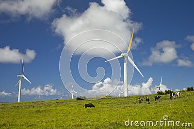Alternative wind energy sources