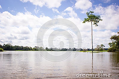 Amazing clouds at a rainforest amazon jungle amazon river