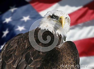 American flag and eagle