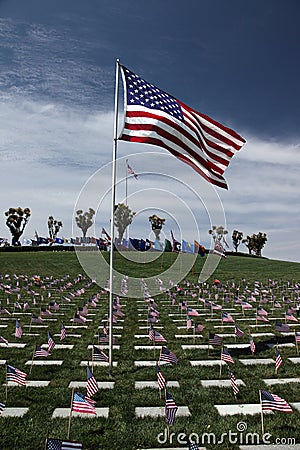 American Flags at National Cemetery