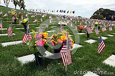 American Flags at National Cemetery