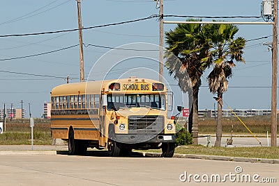 American school bus