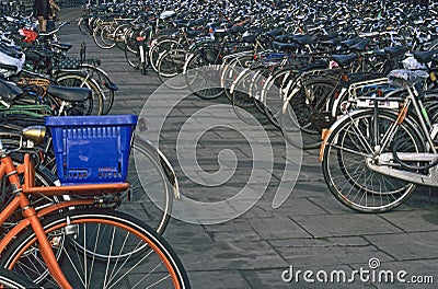 Amsterdam Bike Park