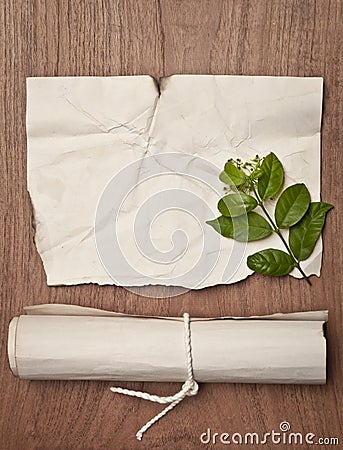 Ancient crumpled paper scroll on wood table with green leaf for background