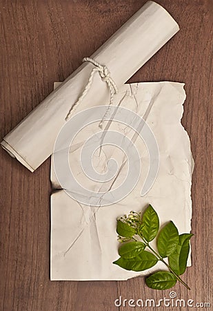 Ancient crumpled paper scroll on wood table with green leaf for background