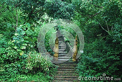 Ancient Stair case