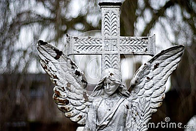 Angel on a cementery