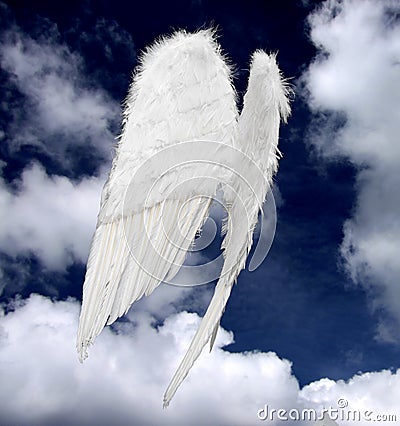 Angel wings