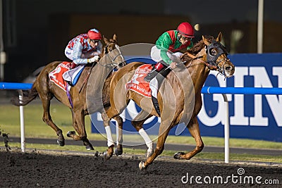 Animal Kingdom wins Dubai World Cup 2013