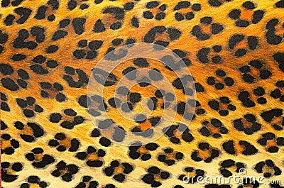 Animal print Background Texture