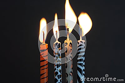 Animal print candles with the flame being blown