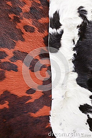 Animal skins color