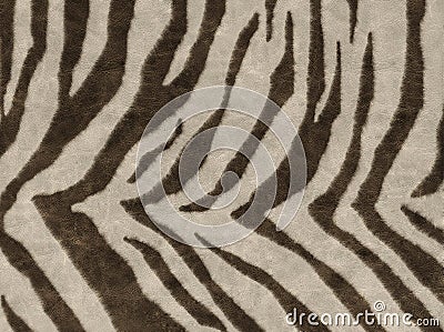 Animals skins textures