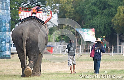 The Annual Elephant Roundup in Surin, Thailand