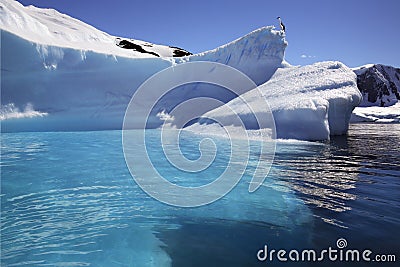 Antarctica - Iceberg in Cuverville Bay